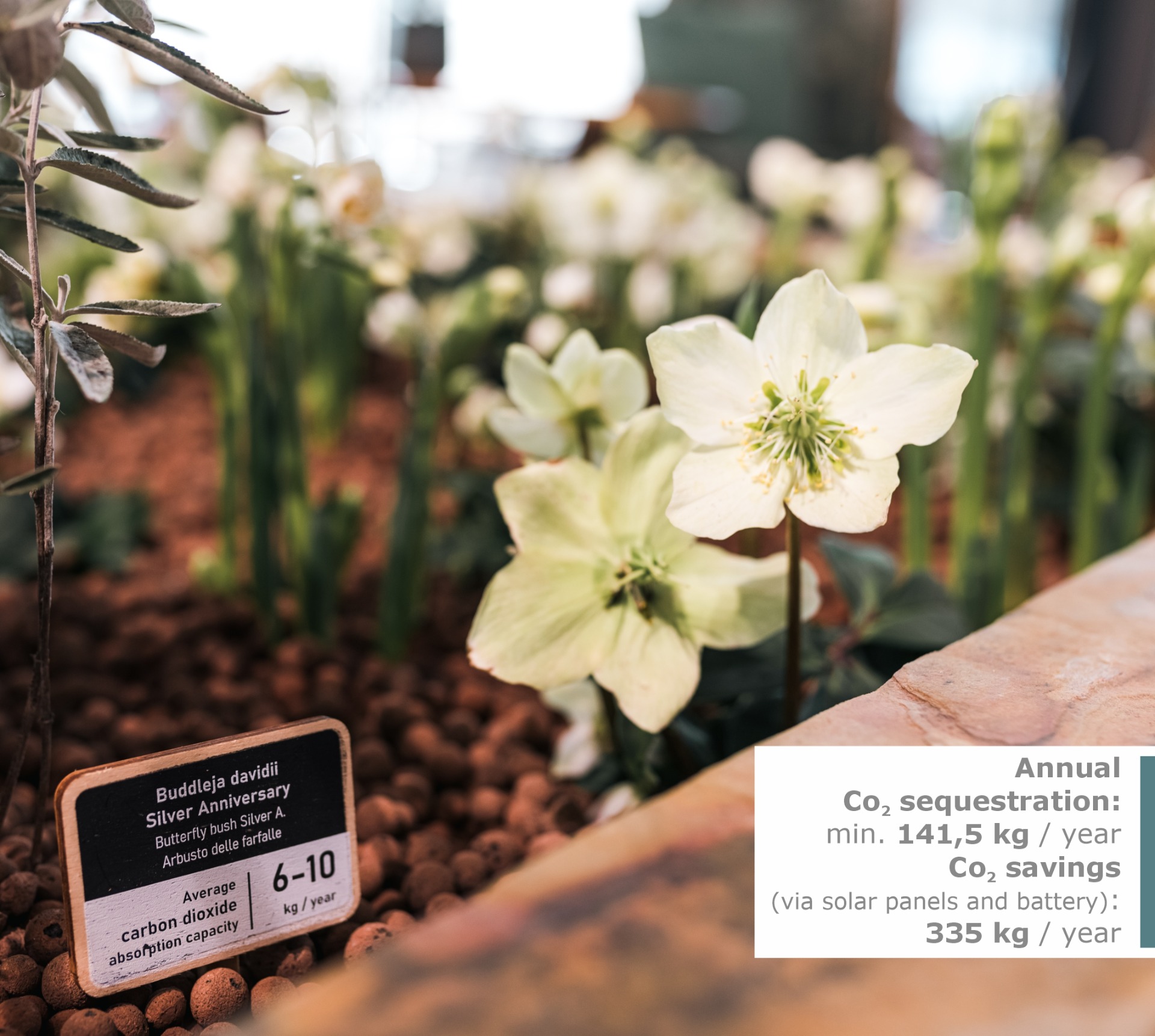 Veridian Hub Smart urban container garden - annual Co2 sequestration